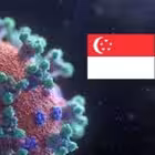 Telegram @sgcovidifxsurvivorsGroup Image