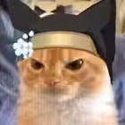 m_maidcafe_old1 Telegram Logo