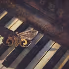 Blog169 Telegram Logo