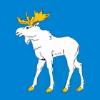 yoshkarola Telegram Logo