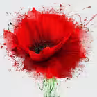 otvaZhnyje Telegram Logo