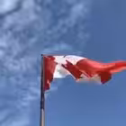 drivecanadachat Telegram Logo