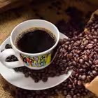 Bunnacoders Telegram Logo