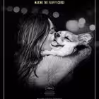 comment_da Telegram Logo