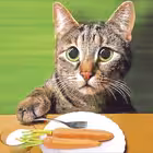 Telegram @katranlife_ruGroup Image