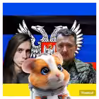 Telegram @hamster_kombat_sexGroup Image