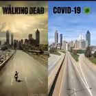 scienster_chat Telegram Logo