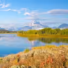 dushbeds Telegram Logo