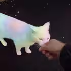 fgsfds101 Telegram Logo