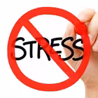 trening_Tbilisi Telegram Logo