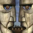 zaikindailychat Telegram Logo