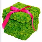 iherb_v_Ru Telegram Logo