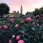 datingworld3333 Telegram Logo