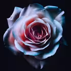 casualdatingleipzig Telegram Logo