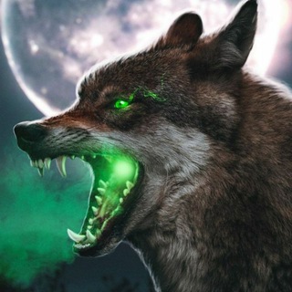 Telegram @turkishlife87Group Image