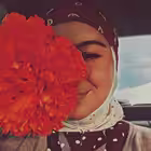 halalloveis Telegram Logo