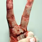 relationshipgoals Telegram Logo