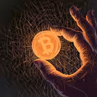 Telegram @CryptoyChannel Image