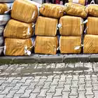 toptan55 Telegram Logo