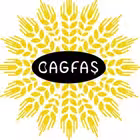 bagfshisse Telegram Logo