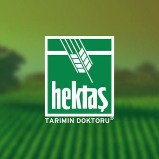 Telegram @hektshisseeGroup Image