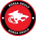 borsaokul Telegram Logo