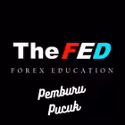 signalfreeforexrecom Telegram Logo