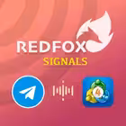 Telegram @redfox_daily_forex_signalsChannel Image