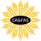 bagfshissesi Telegram Logo